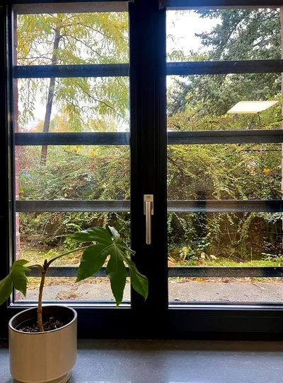 Wynajmę Mieszkanie Poznań - 20 m² - miniatura 3