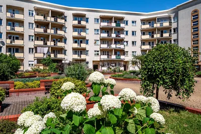 Wynajmę Mieszkanie Warszawa - 45 m² - miniatura 3