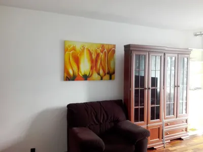 Wynajmę Mieszkanie Łódź - 68 m² - miniatura 2