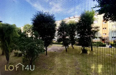Wynajmę Mieszkanie Katowice - 43 m² - miniatura 5