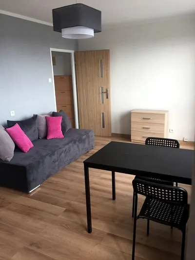 Wynajmę Mieszkanie Poznań - 27 m² - miniatura 2