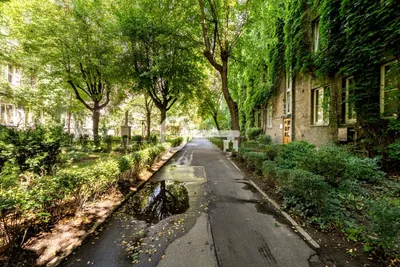 Wynajmę Mieszkanie Warszawa - 50 m² - miniatura 3