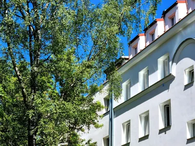 Wynajmę Mieszkanie Warszawa - 41 m² - miniatura 2
