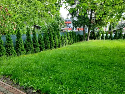 Wynajmę Mieszkanie Kraków - 20 m²