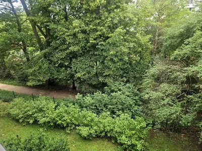 Wynajmę Mieszkanie Warszawa - 38 m² - miniatura 2