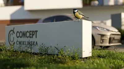 Wynajmę Mieszkanie Warszawa - 47 m² - miniatura 5