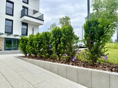 Wynajmę Mieszkanie Kraków - 31 m² - miniatura 5