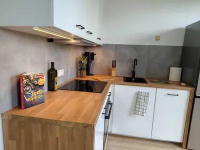 Kawalerka przy placu Sejmu Śl. Świeżo po remoncie - miniatura 5