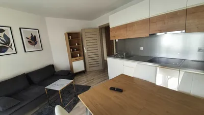 Wynajmę BEZ prowizji, Armii Krajowej 12, 40m2, 2 tarasy - miniatura 3