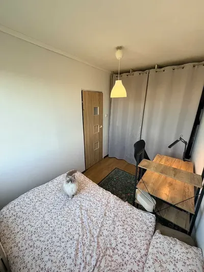 Wynajmę 2-pokojowe mieszkanie 30m2 w Rzeszowie, Nowe Miasto - miniatura 4