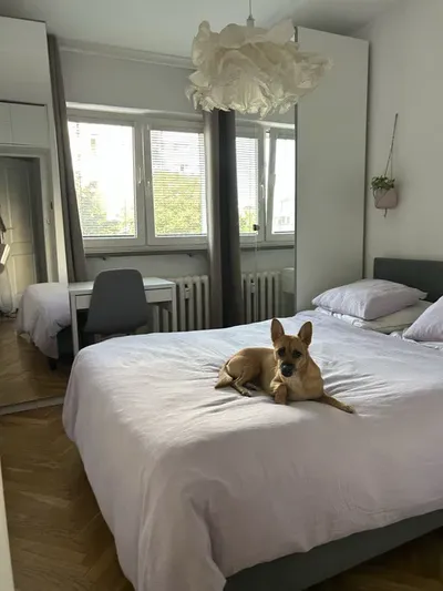 Pokoj do wynajecia
