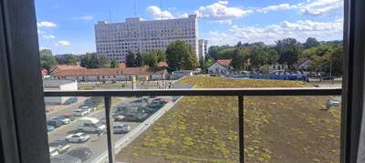 Pokój jednoosobowy od zaraz Mogilska Białucha Lidl Grzegórzki - miniatura 5