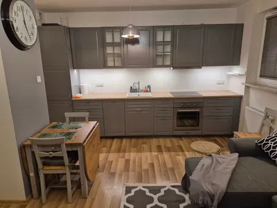 Dwupokojowe mieszkanie 40 m2 z ogródkiem, garaż i internet w cenie - miniatura 2