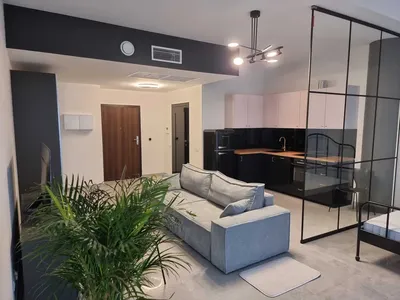 Duże studio Hanza Tower do wynajęcia