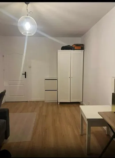 Duży pokój na wynajem – Winogrady - miniatura 2