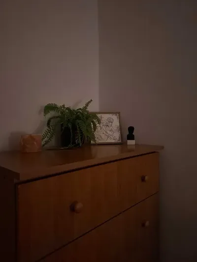 Pokój na wynajem Kraków Jubilat - miniatura 2