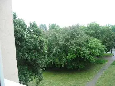 Kawalerka Mokotów M1 Wołoska Marzanny Woronicza Odyńca - miniatura 4