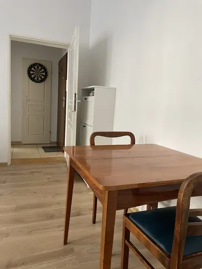 Zwierzolubne mieszkanie w centrum Poznania - miniatura 2