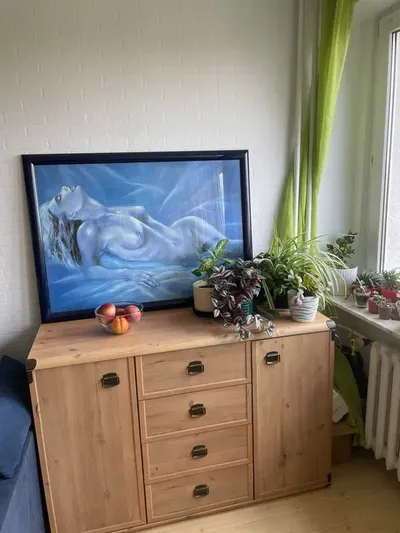 Mieszkanie 1 pokojowe w centrum do wynajęcia - miniatura 4