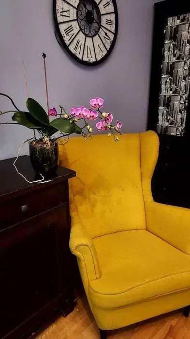 Mieszkanie 44 m² do wynajęcia | 2 pokoje | Oddzielna kuchnia | Muranów | ul. Nowolipie | Bezpośrednio - miniatura 4