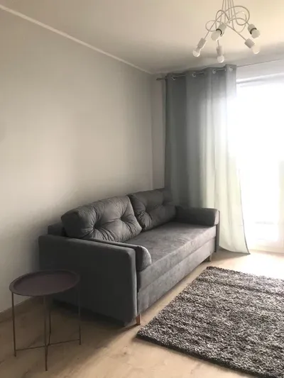 Wynajmę nowe mieszkanie 48 m2 3-pokojowe z garażem - miniatura 3