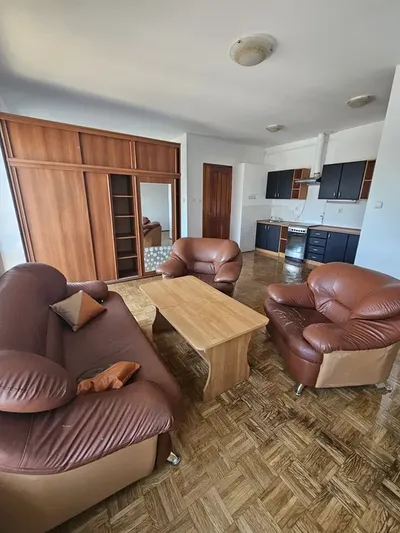 Sosnowiec, ul. Modrzejowska, atrakcyjna kawalerka z sauną - miniatura 5