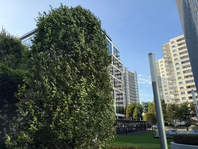 Pokój w Apartamentowcu przy Metro Warszawa Gdańska - miniatura 5
