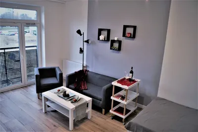 Wynajmę nowoczesne mieszkanie 30,5 m2 z oddzielną kuchnią i balkonem - miniatura 2