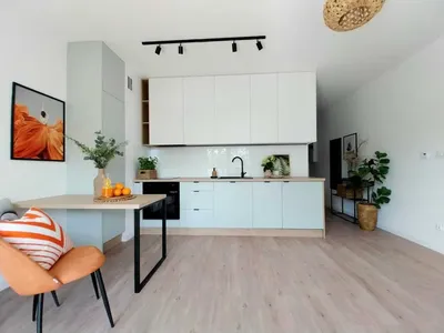 Wynajmę 2-pokojową kawalerkę przy Parku Śląskim - 36 m² - miniatura 4