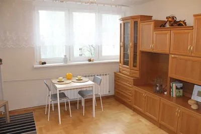 Kawalerka bezpośrednio od 02.10, cena z czynszem, świetna lokalizacja - miniatura 2