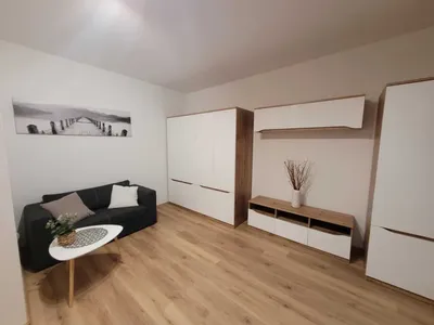 Mieszkanie do wynajęcia - akceptacja zwierząt domowych - miniatura 2