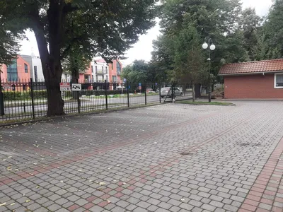 Oliwa 58m 300m od morza Gdańsk Jelitkowo Wynajem Długoterminowy - miniatura 2