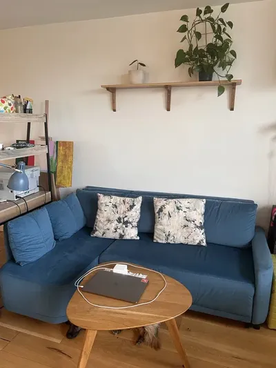 Pokoj + salon na Saskiej Kepie - miniatura 3
