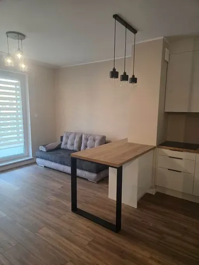 Do wynajęcia salon z aneksem - miniatura 5