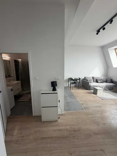 Kawalerkę w ścisłym centrum wynajmę - miniatura 2