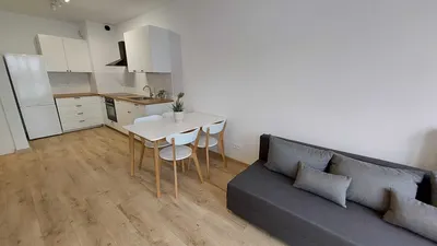 Nowe mieszkanie 40m z garażem (pierwszy najem) - miniatura 2