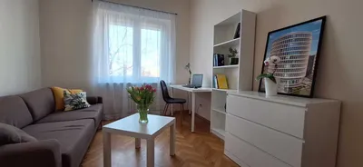 Wynajmę duży Pokój w mieszkaniu studenckim Łazarz Kasprzaka - miniatura 5