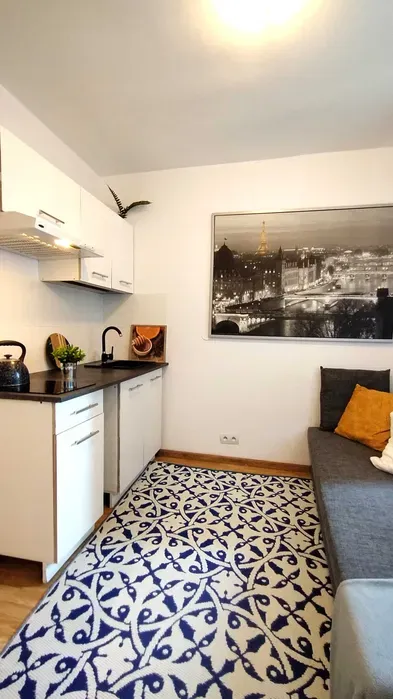 Kawalerka do wynajęcia po remoncie — Park Wodny, Serenada 0% prowizji - miniatura 2