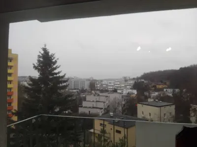 Mam do wynajecia pokój