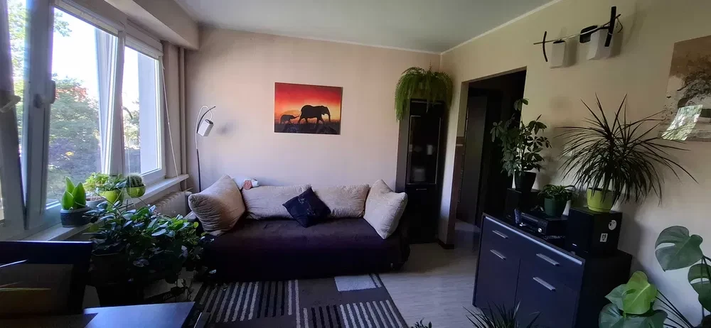 Mieszkanie 2 pokoje Toruń blisko centrum - 1/8