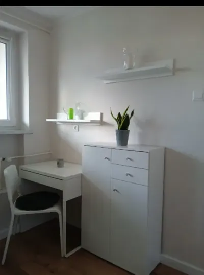 Pokój w centrum Opola 950zł