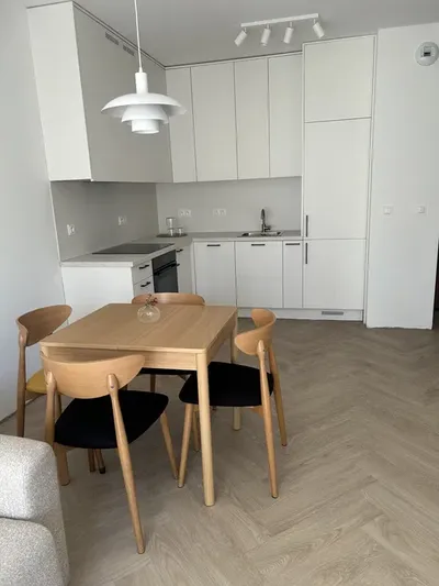 Mieszkanie dwupokojowe niecałe 40 m2 - miniatura 3