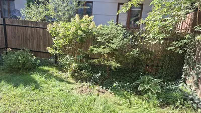 Wynajmę mieszkanie - miniatura 5