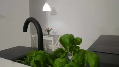 kawalerka w centrum Katowic ul. Kościuszki - miniatura 3