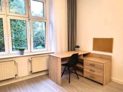 Duży pokój jednoosobowy w Centrum - miniatura 3