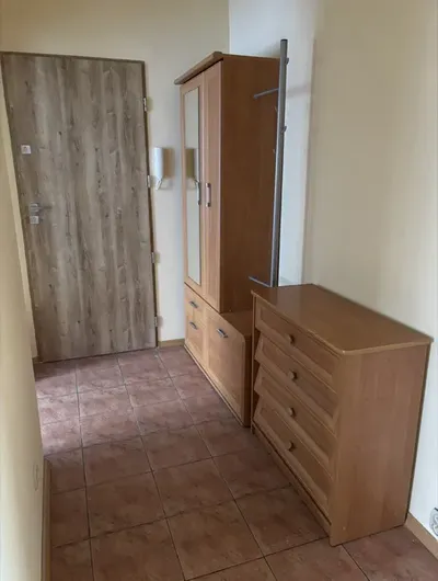 Mieszkanie do wynajęcia LSM - miniatura 3