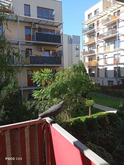 Wynajmę bezpośrednio mieszkanie os.Mozarta duża kawalerka- Prądnik biały-Komórka lokatorska-Strzeżone osiedle - miniatura 5