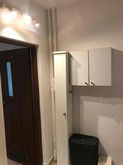 Kawalerka do wynajęcia na Koszutce - miniatura 4