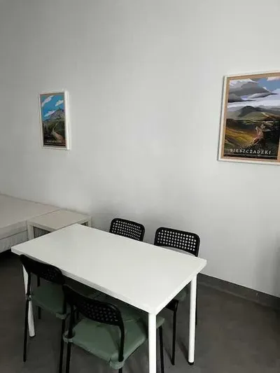 Mickiewicza /centrum duża kawalerka od padziernika - miniatura 2