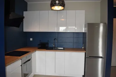 Wynajmę dwupokojowe Kacze Buki - miniatura 4